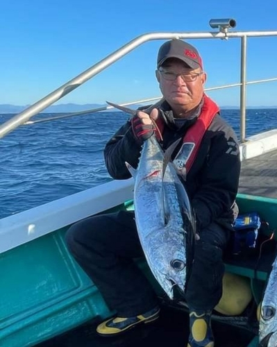 ビンチョウマグロの釣果