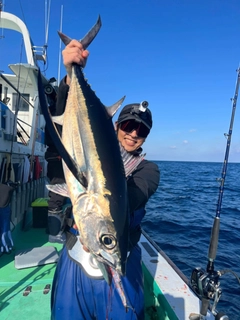 ビンチョウマグロの釣果