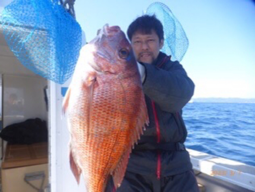 マダイの釣果