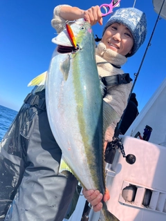 ブリの釣果