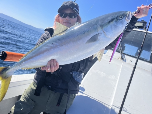 ブリの釣果