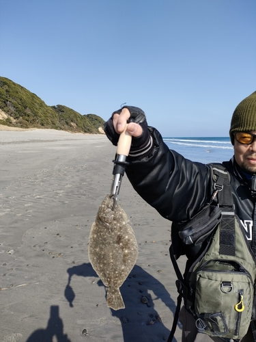 ソゲの釣果