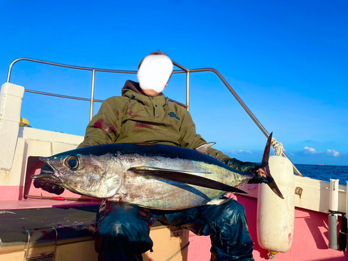 ビンチョウマグロの釣果