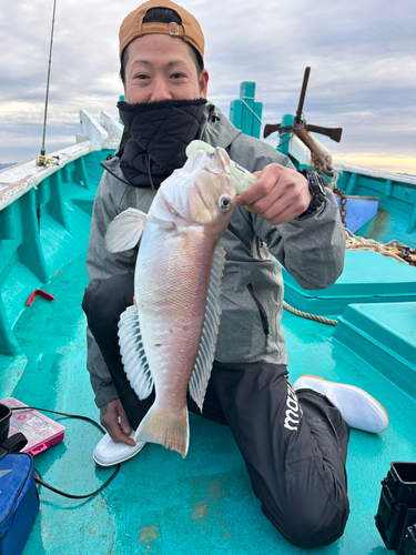 シロアマダイの釣果