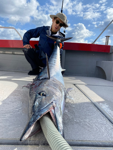 オキサワラの釣果