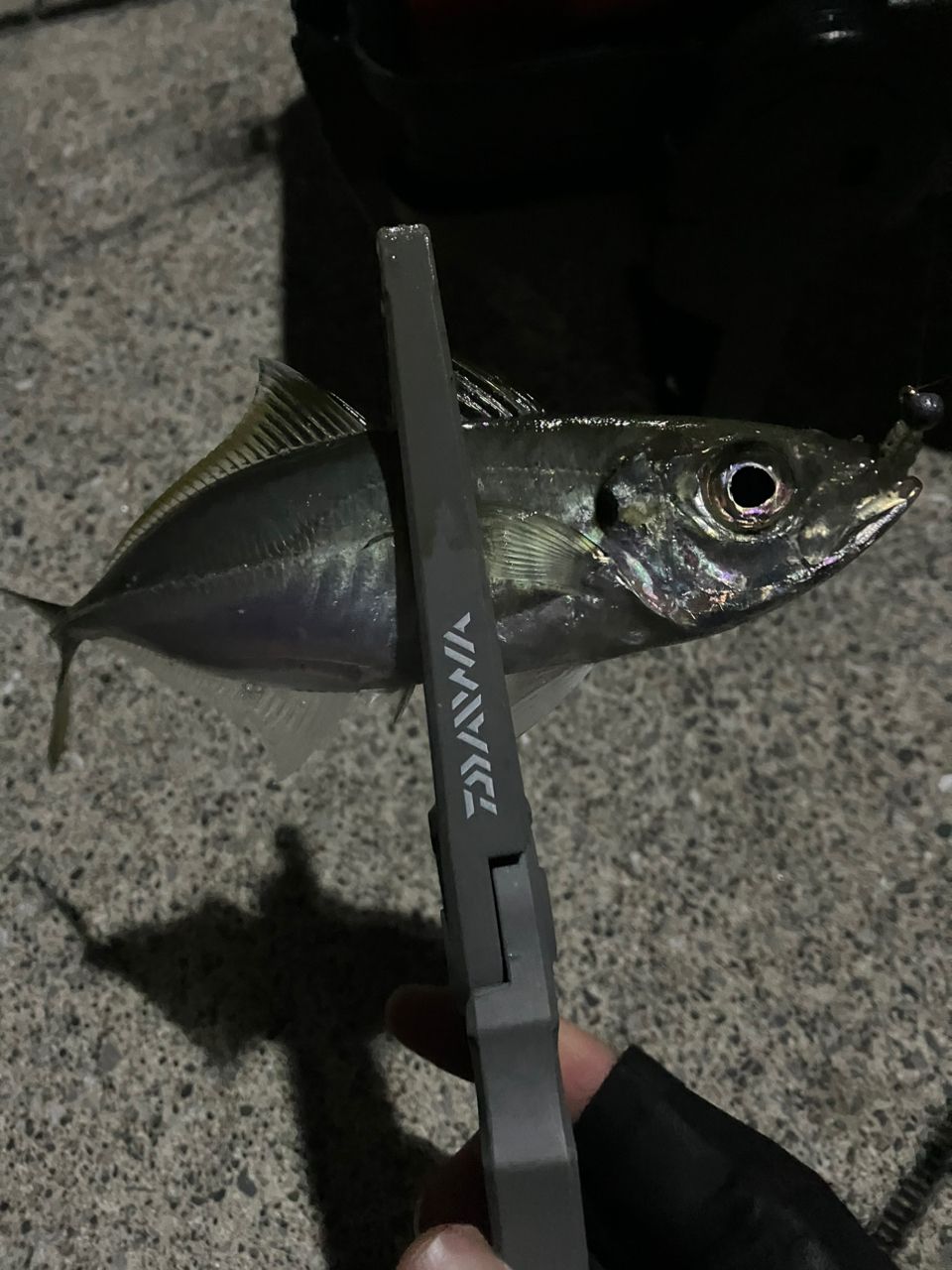 アジ
