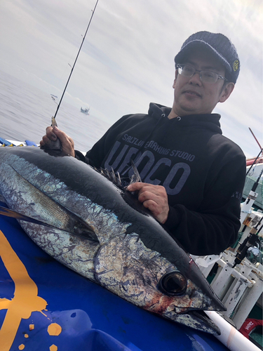 ビンチョウマグロの釣果