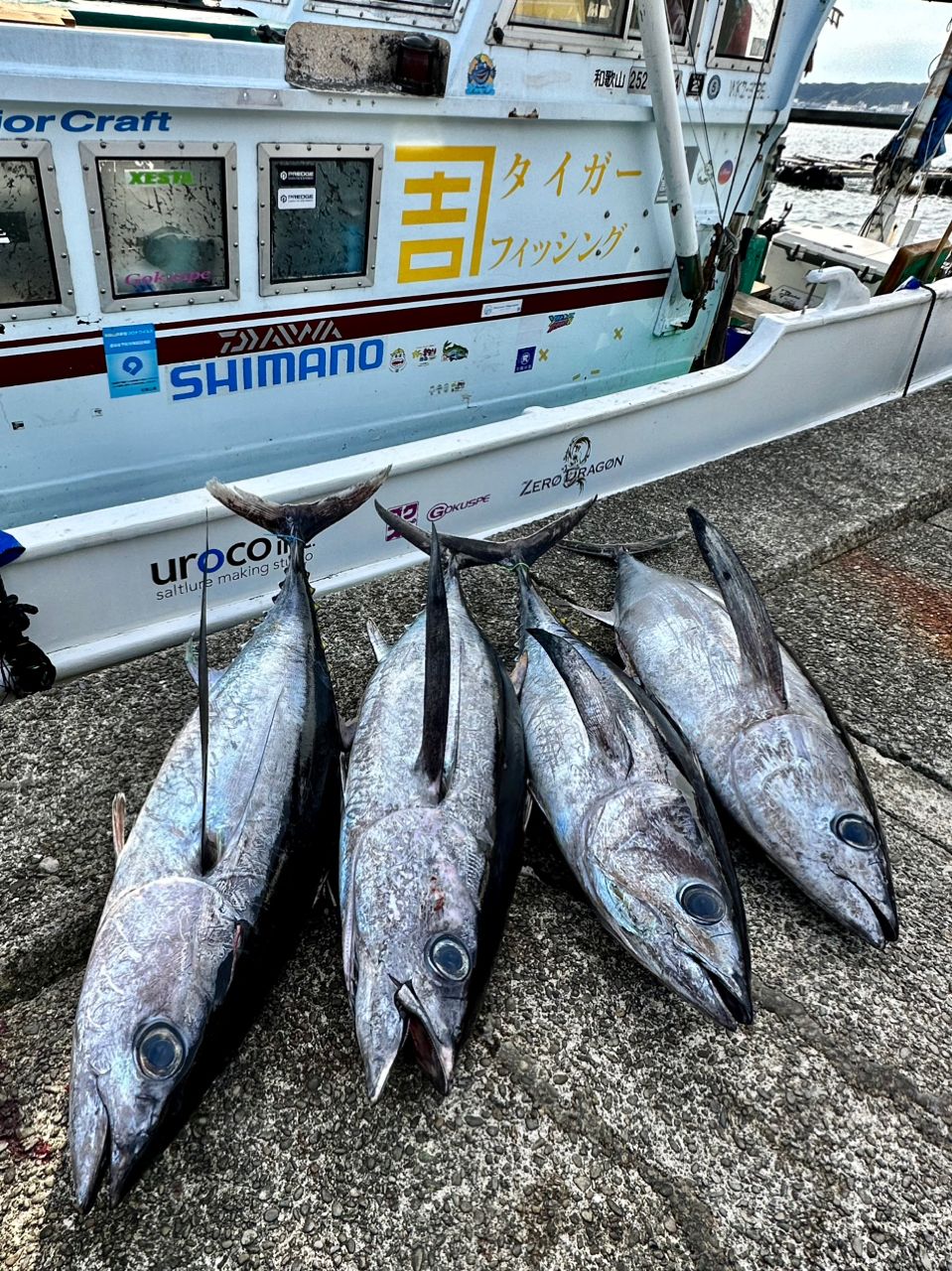 fishing.kenjiさんの釣果 2枚目の画像