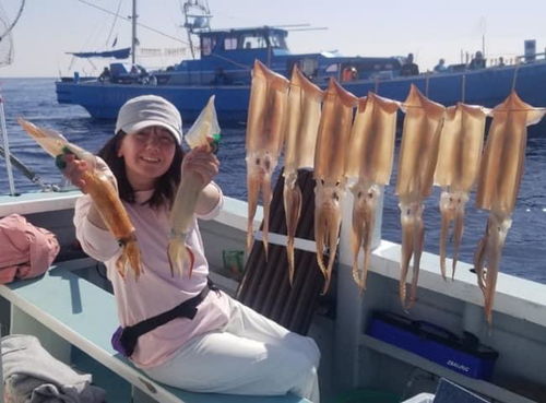 スルメイカの釣果