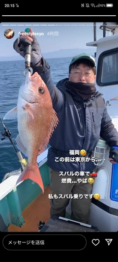 マダイの釣果