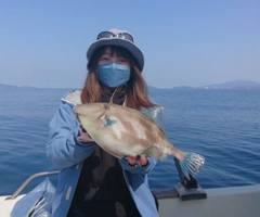 ウマヅラハギの釣果