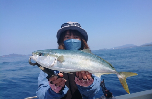 ヤズの釣果