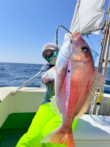 タイの釣果