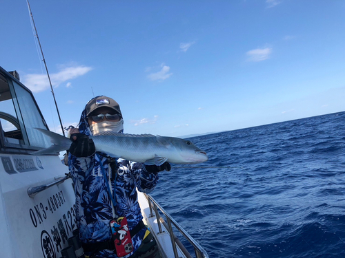 アオチビキの釣果