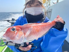 アマダイの釣果