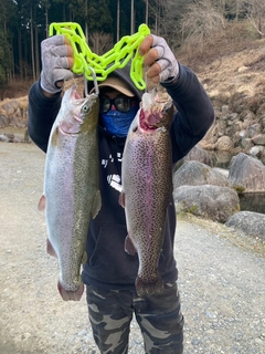 トラウトの釣果