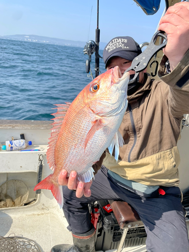 タイの釣果