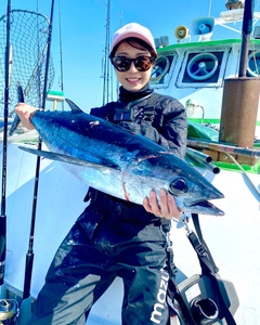 ビンチョウマグロの釣果