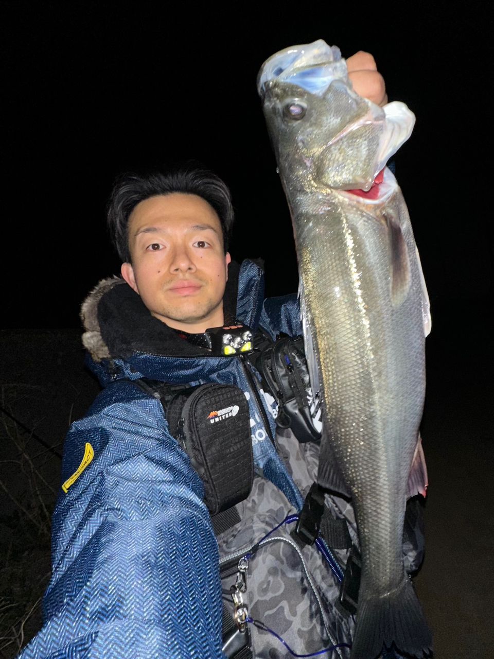 シーバス