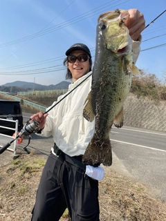 ブラックバスの釣果