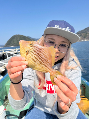 カワハギの釣果