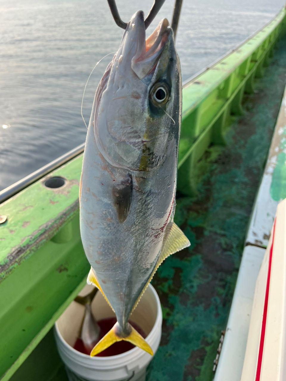 なりたなおとさんの釣果 2枚目の画像