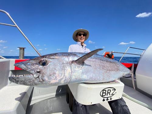 イソマグロの釣果