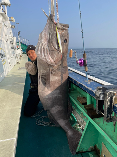 アブラボウズの釣果