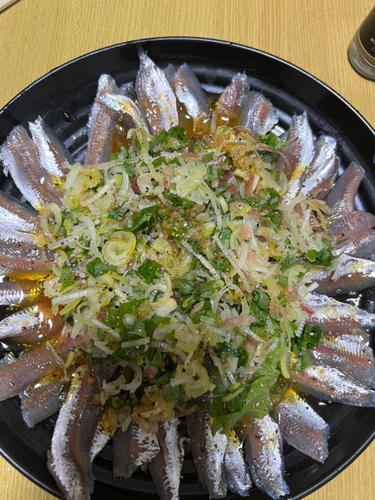 カタボシイワシの釣果