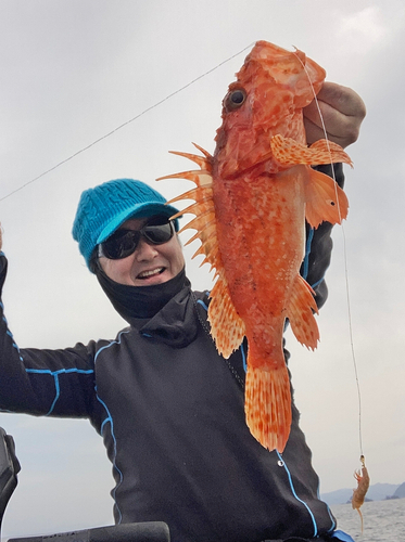 オニカサゴの釣果