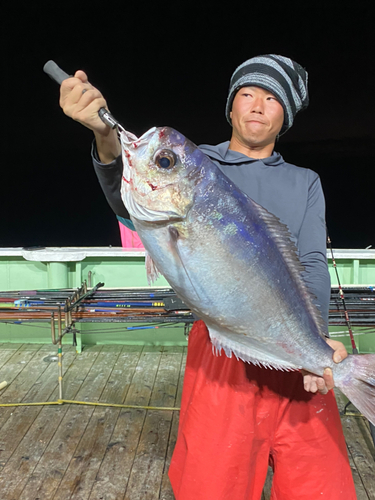 メダイの釣果