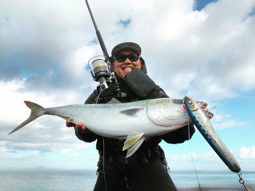 ヤズの釣果