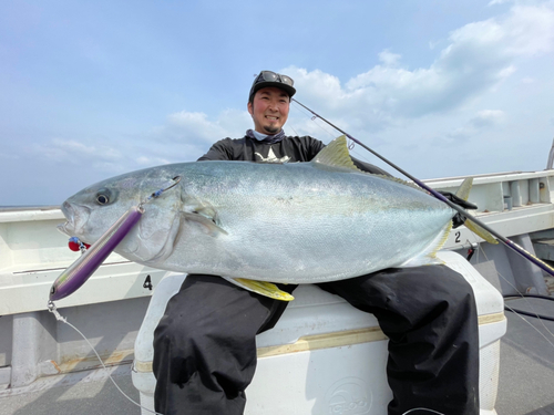 ヒラマサの釣果