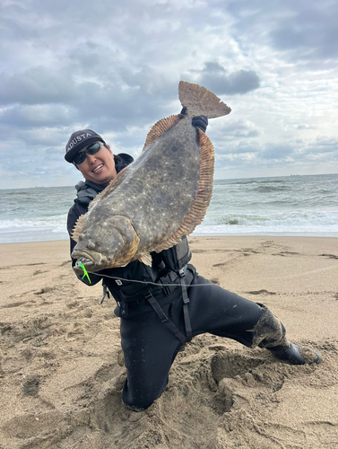 ヒラメの釣果