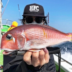 アマダイの釣果