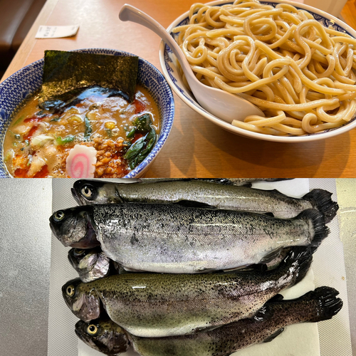 ニジマスの釣果