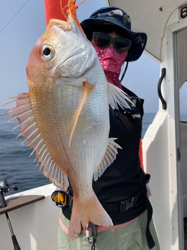 レンコダイの釣果