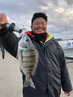 クロダイの釣果