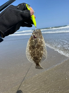 ソゲの釣果