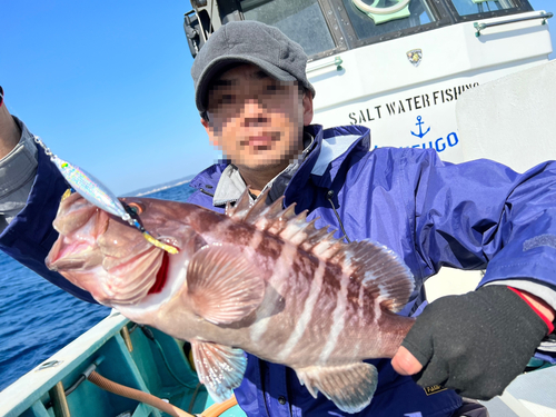 マハタの釣果