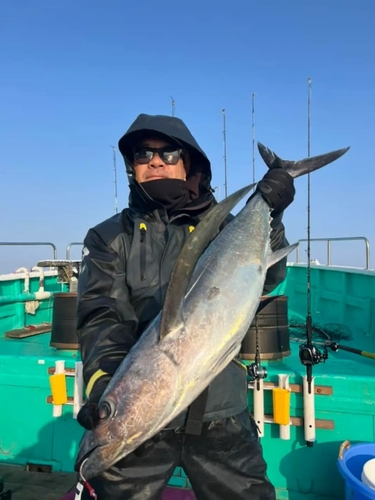 ビンチョウマグロの釣果