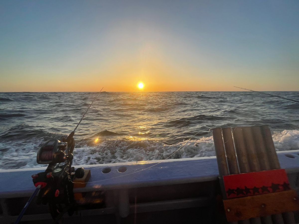金沢八景のつり吉さんの釣果 3枚目の画像