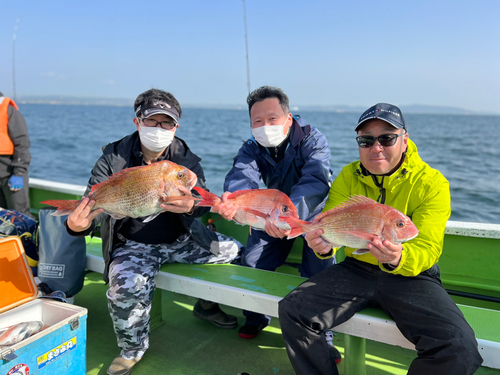 マダイの釣果