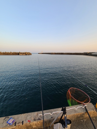 釣果