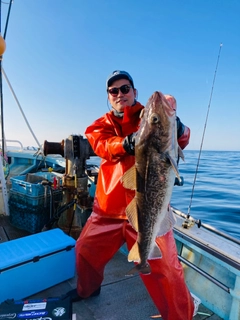 タラの釣果