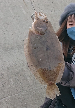 ガンゾウビラメの釣果