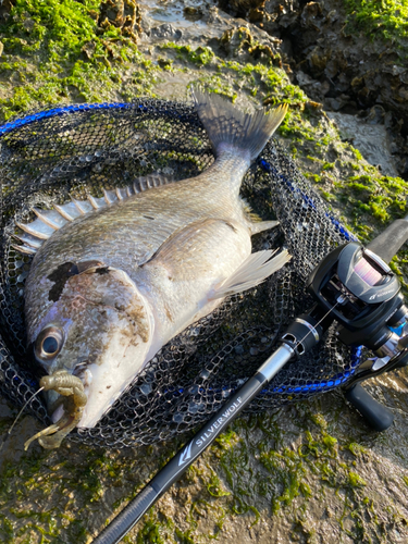 釣果