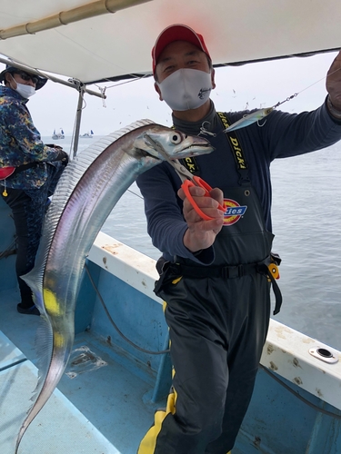 タチウオの釣果