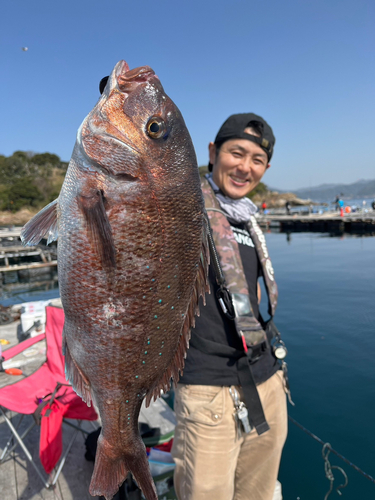 マアジの釣果