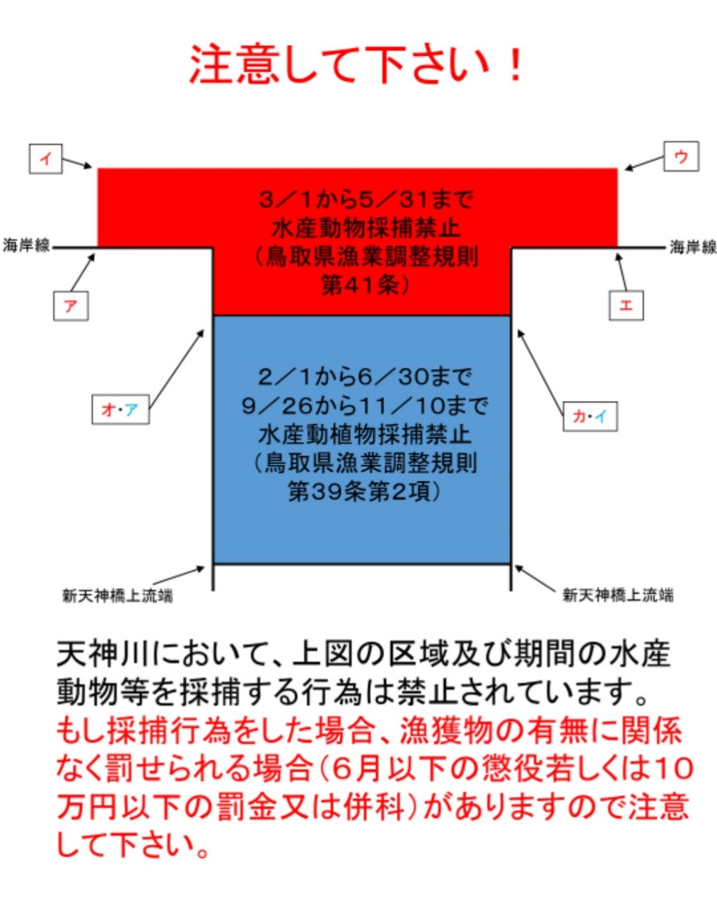 カサゴ